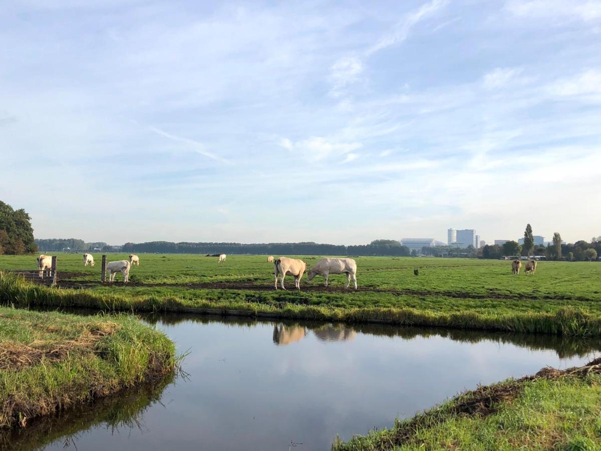 Villa Antonius Amsterdam Ouderkerk aan de Amstel Eksteriør bilde